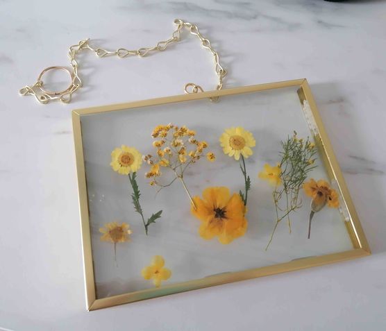 Bild von Poro Bild von Poro