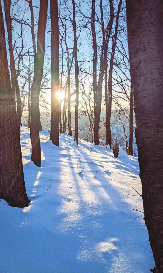 Bild von Sannahu Bild von Sannahu