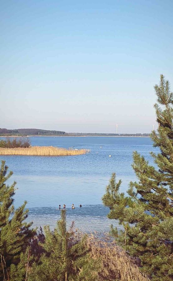 Bild von Sannahu Bild von Sannahu