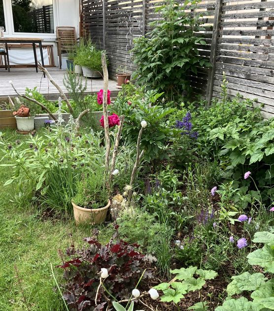 Bild von Salat1975 Bild von Salat1975