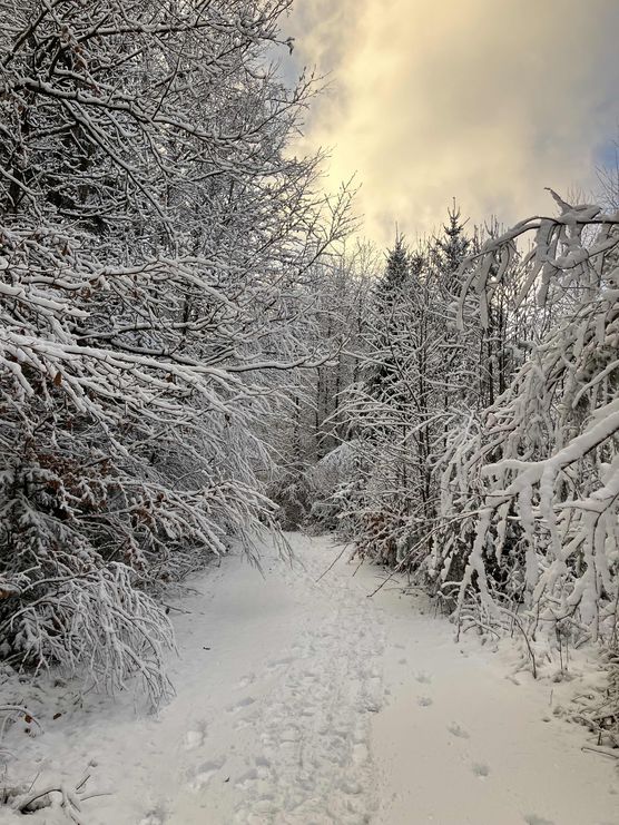 Bild von Salat1975 Bild von Salat1975