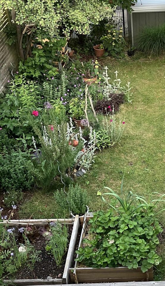 Bild von Salat1975 Bild von Salat1975