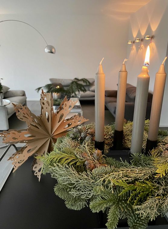 Bild von Convallaria Majalis Bild von Convallaria Majalis