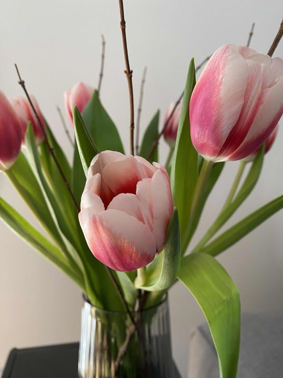 Bild von nicoell Bild von nicoell