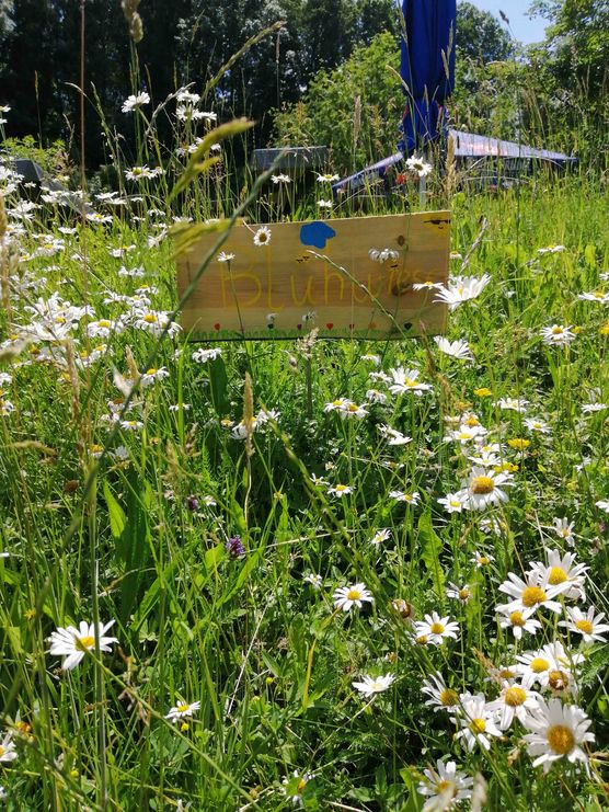 Bild von Leapard Bild von Leapard