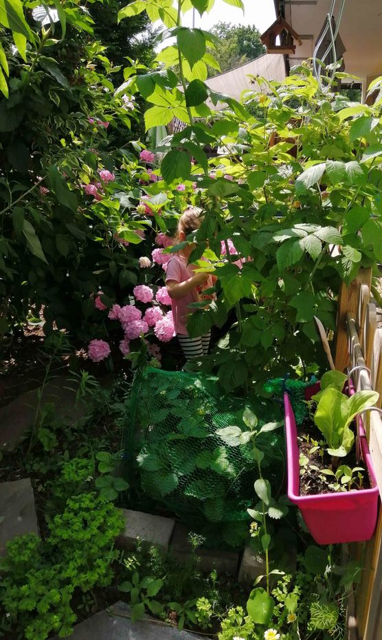 Bild von Leapard Bild von Leapard