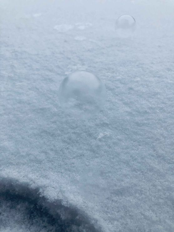 Bild von Josies_Home Bild von Josies_Home