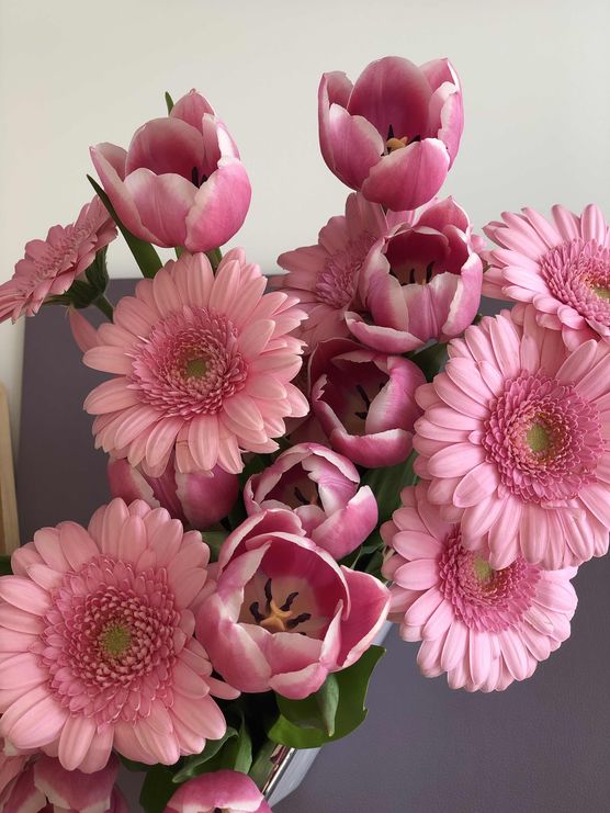 Bild von Josies_Home Bild von Josies_Home