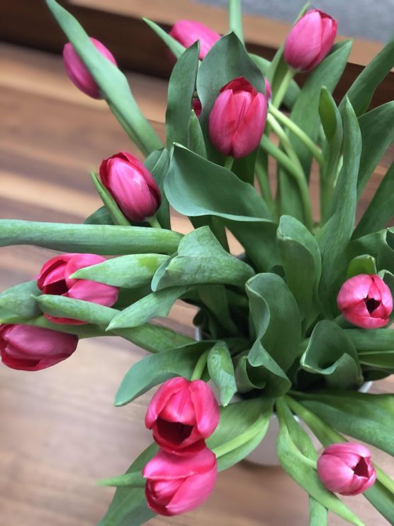 Bild von Josies_Home Bild von Josies_Home