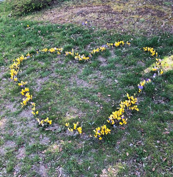 Bild von Josies_Home Bild von Josies_Home