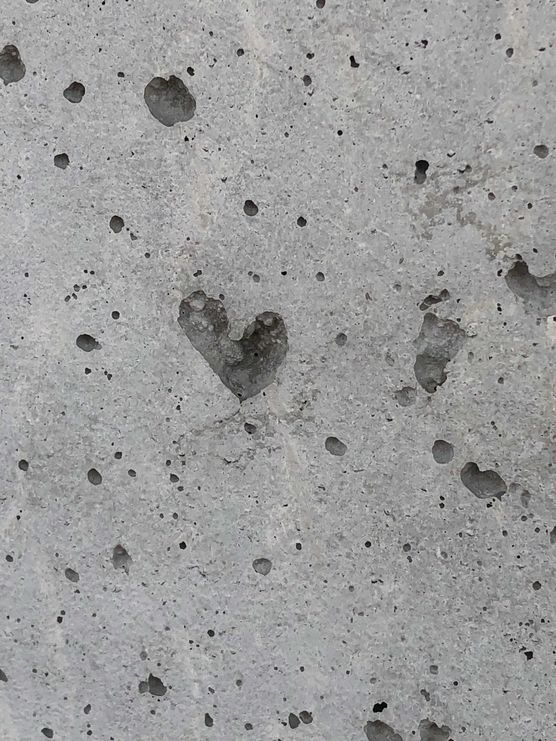 Bild von Josies_Home Bild von Josies_Home