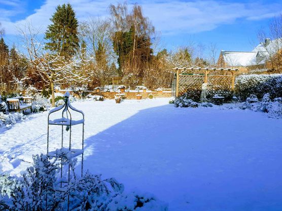 Bild von Anja Pantel Bild von Anja Pantel