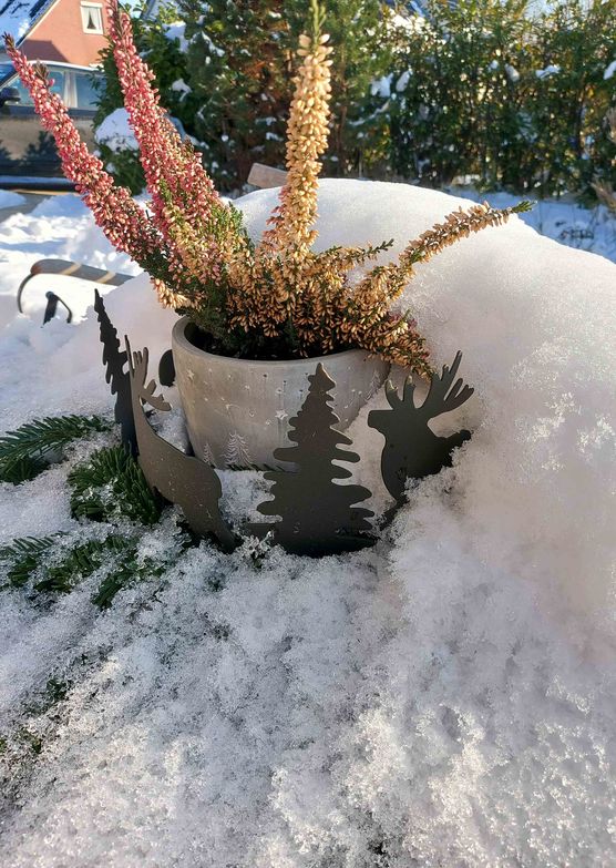 Bild von Anja Pantel Bild von Anja Pantel