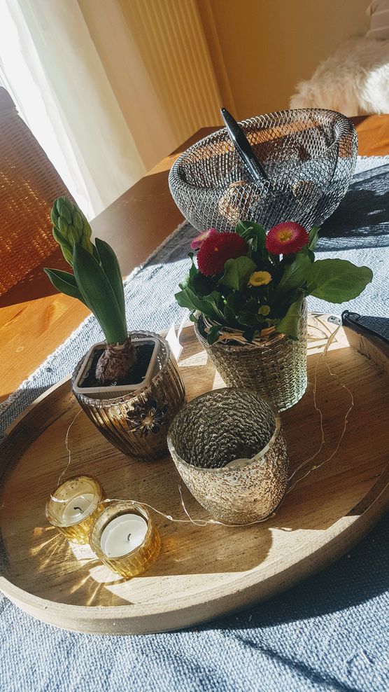 Der Frühling hält Einzug! Der Frühling hält Einzug!