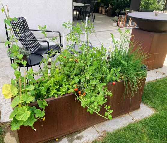 Bild von GaGa2021ByBy Bild von GaGa2021ByBy