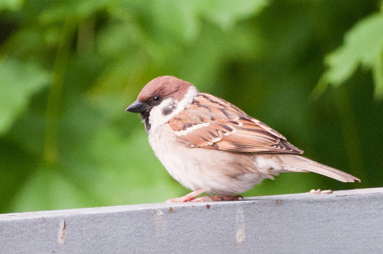 Ha, erwischt ☺️ Ha, erwischt ☺️