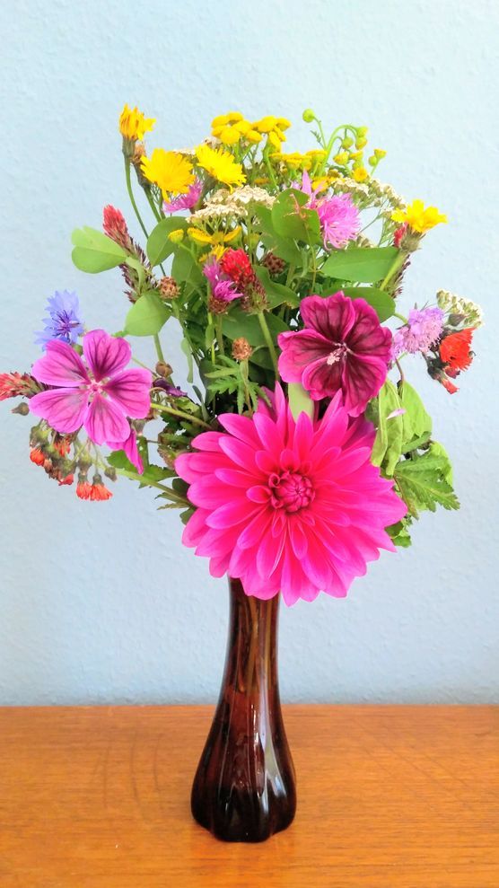 Wiesenblumen Wiesenblumen