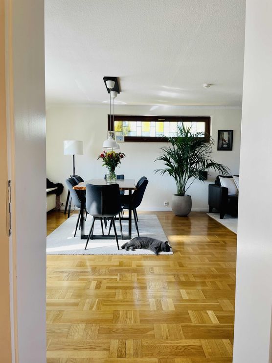 Bild von fräulein müller Bild von fräulein müller