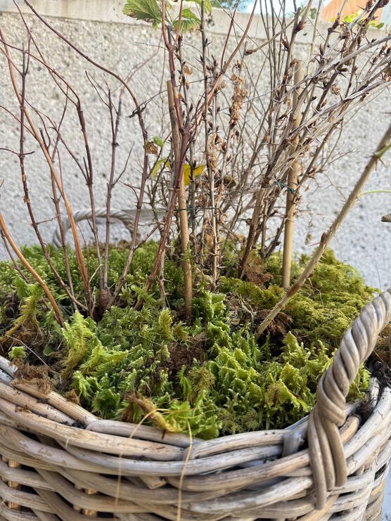 Bild von schatzwohnen Bild von schatzwohnen