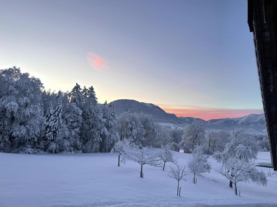 Bild von Silkat76 Bild von Silkat76