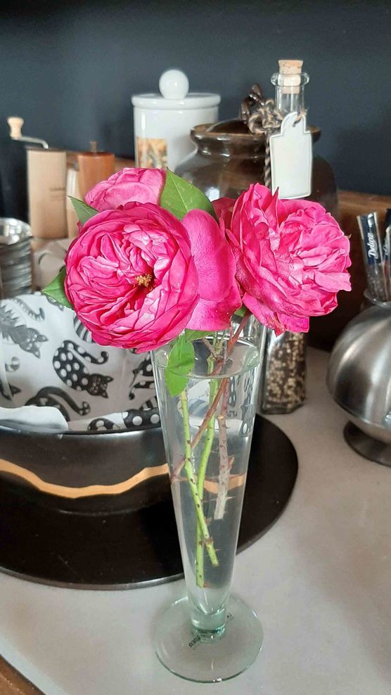 Bild von Befana Bild von Befana