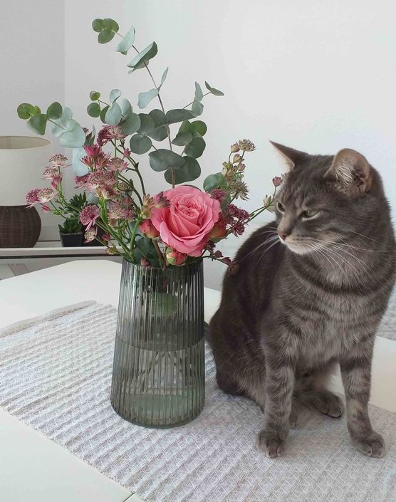 Bild von leas Bild von leas