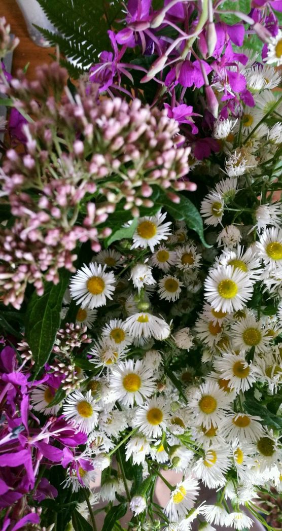 Bild von CristinaS Bild von CristinaS