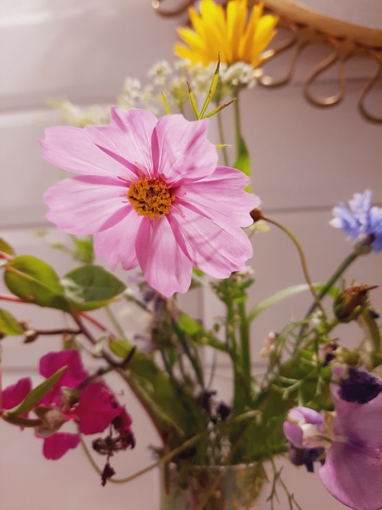 Bild von CristinaS Bild von CristinaS