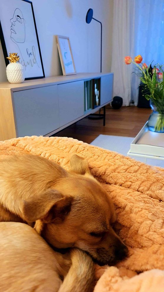 Bild von Maison Greige Bild von Maison Greige