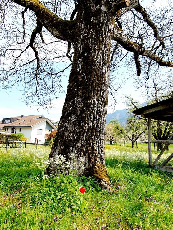 Bild von Maison Greige Bild von Maison Greige