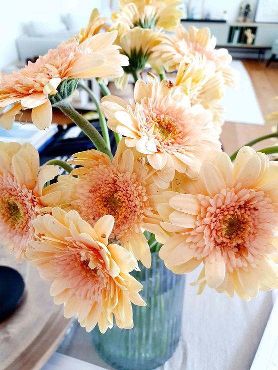 Bild von Maison Greige Bild von Maison Greige