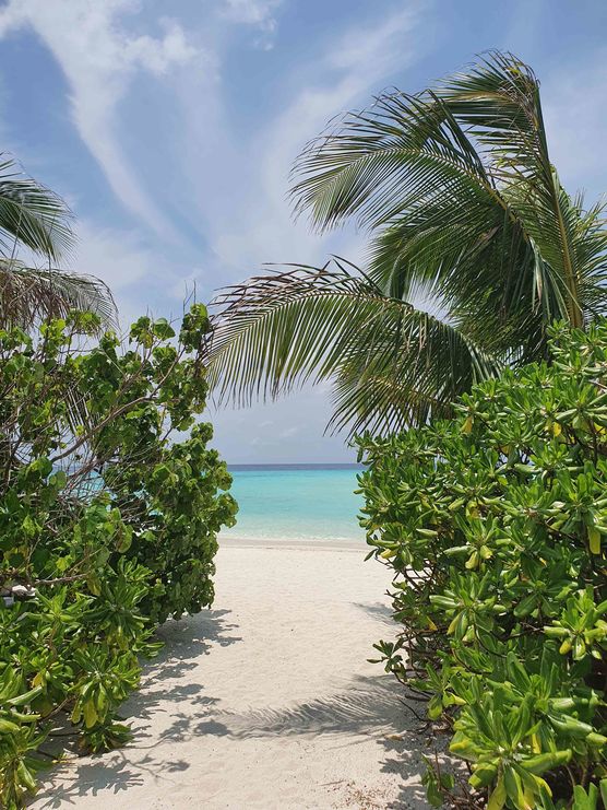 Bild von Maison Greige Bild von Maison Greige