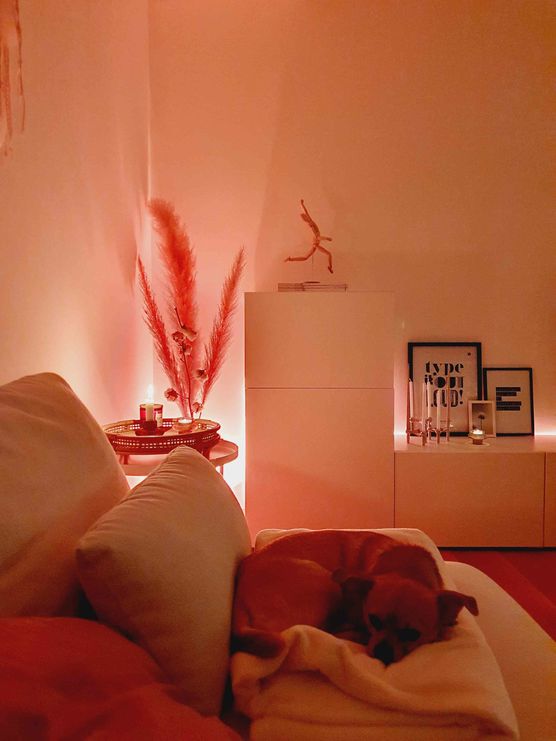 Bild von Maison Greige Bild von Maison Greige