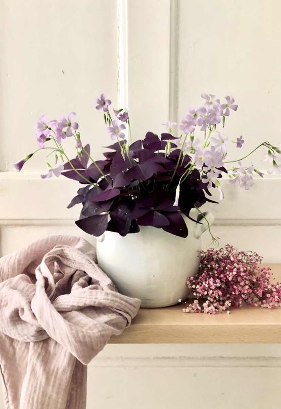 Bild von Fräulein Lotta Bild von Fräulein Lotta