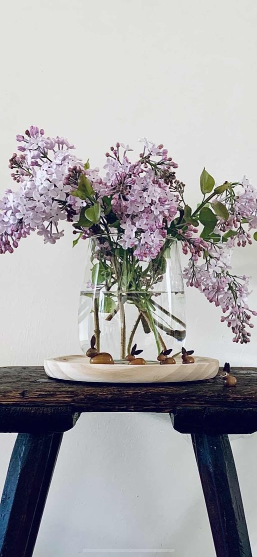 Bild von Fräulein Lotta Bild von Fräulein Lotta