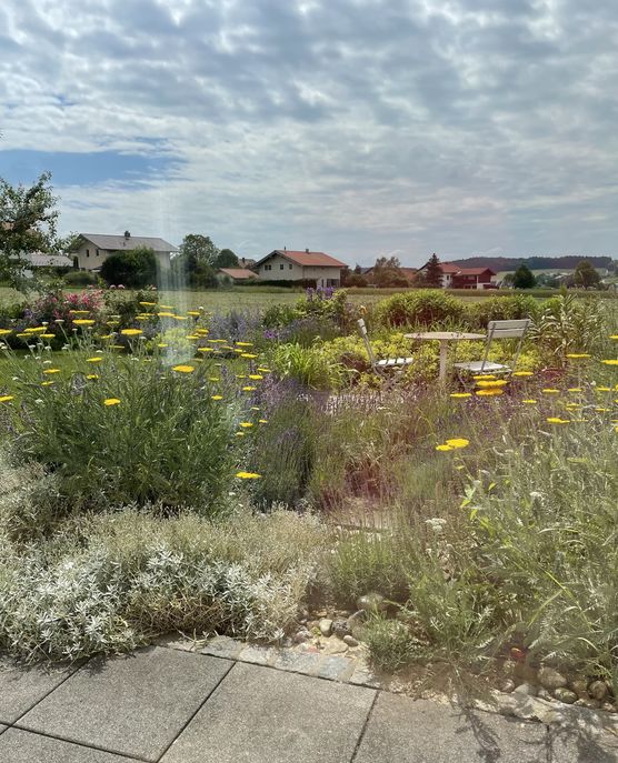 Blick von unserm Eßplatz Blick von unserm Eßplatz