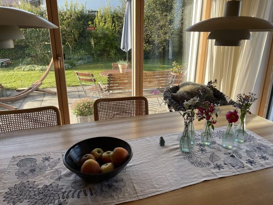 Morgenblick in den Garten Morgenblick in den Garten