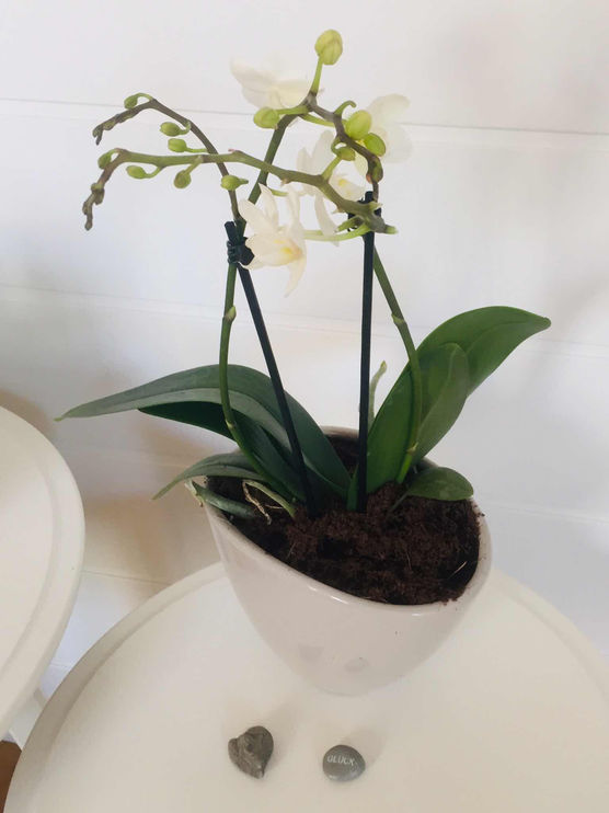 Bild von Kleinundfein Bild von Kleinundfein