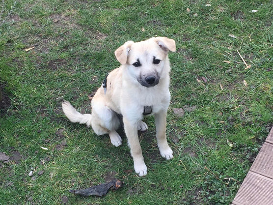 Bild von Kleinundfein Bild von Kleinundfein