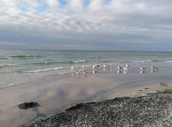 Bild von Rieke18 Bild von Rieke18