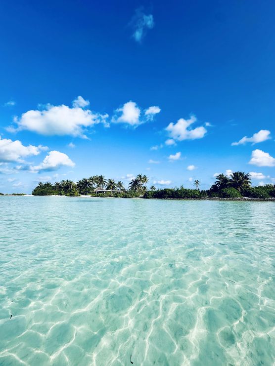 Bild von Touch of Boho Scandi Bild von Touch of Boho Scandi