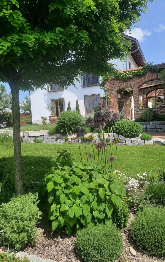 Bild von Andrea80 Bild von Andrea80