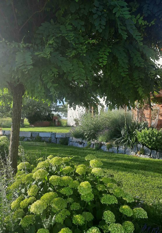 Bild von Andrea80 Bild von Andrea80