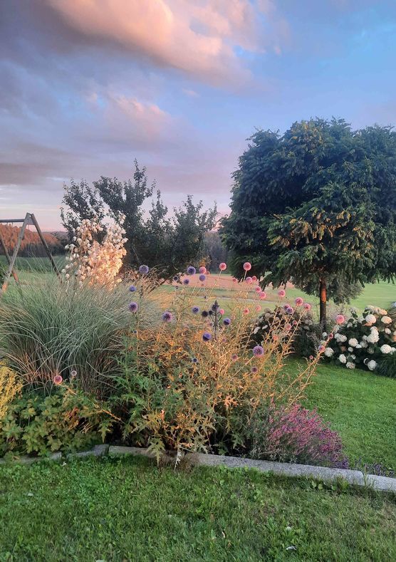 Bild von Andrea80 Bild von Andrea80