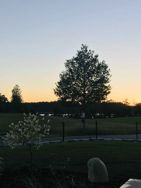 Bild von Aniram32 Bild von Aniram32