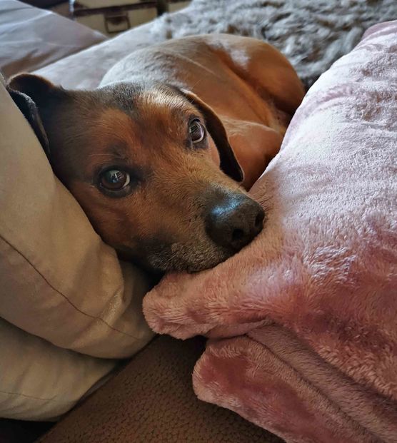 Bild von Barneythebest Bild von Barneythebest