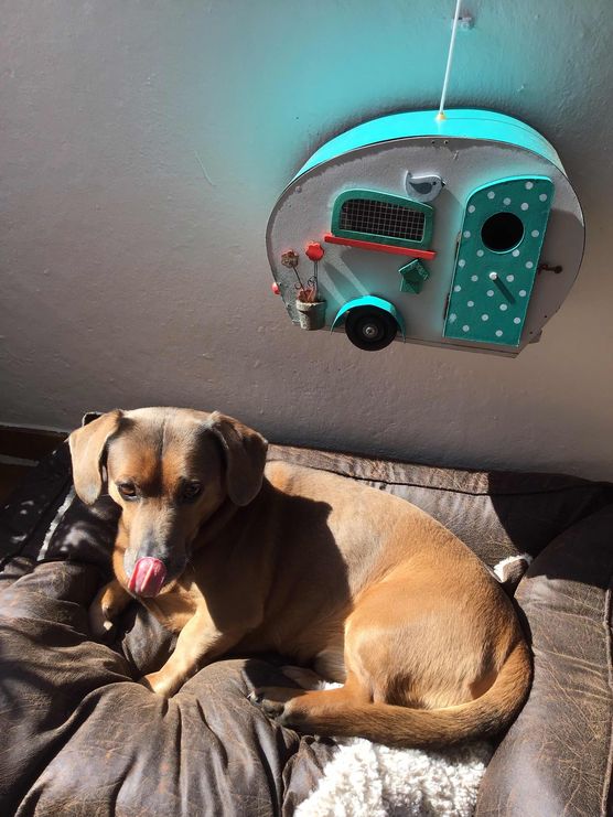 Bild von Barneythebest Bild von Barneythebest