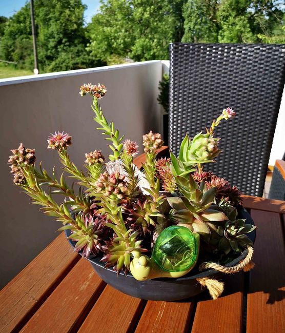 Bild von Barneythebest Bild von Barneythebest