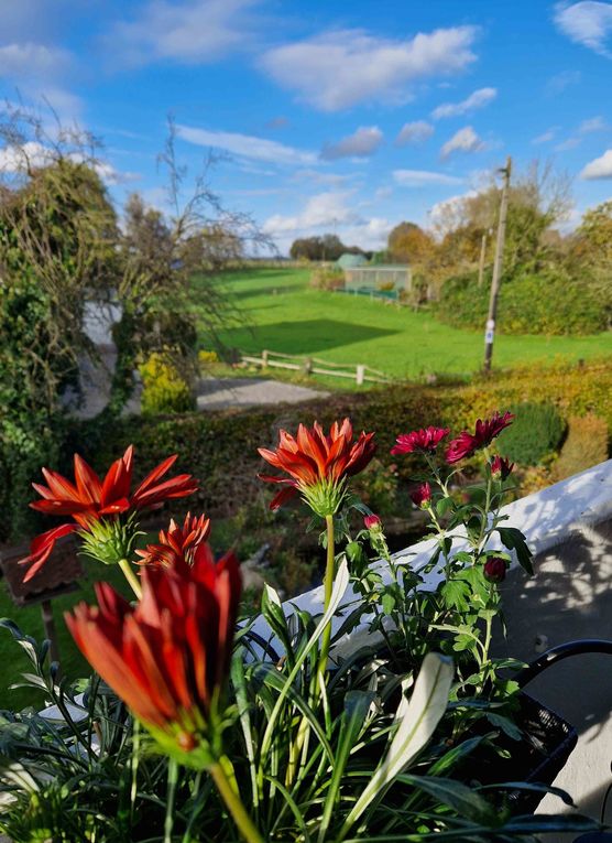 Bild von Barneythebest Bild von Barneythebest