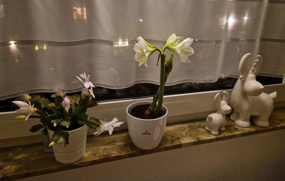 Bild von Barneythebest Bild von Barneythebest